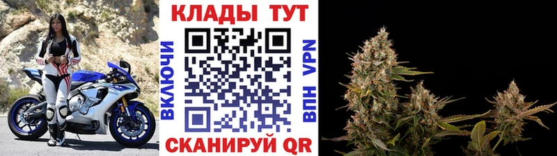 Где купить наркотики Дорогобуж МЕТАМФЕТАМИН APVP Меф blacksprut маркетплейс Марихуана