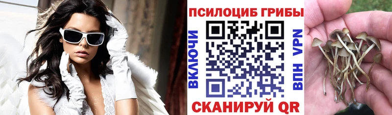 Псилоцибиновые грибы мицелий  купить закладку  Дорогобуж 